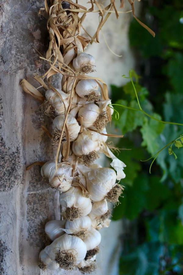 Shenmen Bed & Breakfast Beaune d'Allier Bagian luar foto